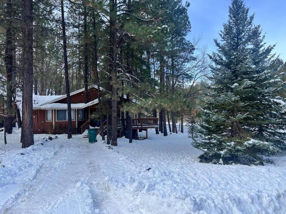 The Bluejay Cabin At Munds Park, Az! Sedona Exterior foto